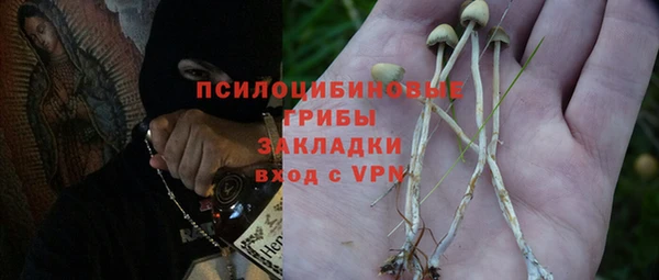 кокс Алексин