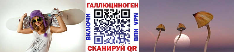 Галлюциногенные грибы прущие грибы  мега зеркало  Катайск  купить наркоту 